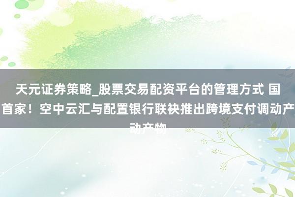 天元证券策略_股票交易配资平台的管理方式 国内首家！空中云汇与配置银行联袂推出跨境支付调动产物
