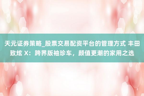 天元证券策略_股票交易配资平台的管理方式 丰田致炫 X：跨界版袖珍车，颜值更潮的家用之选