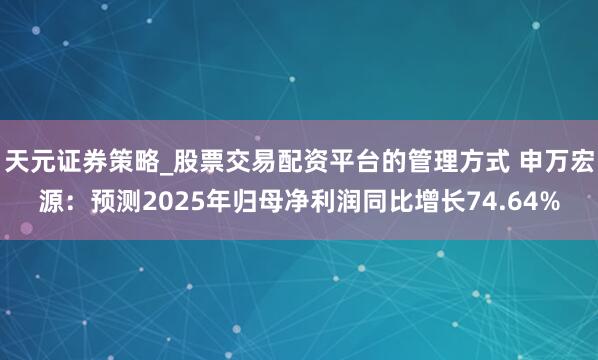 天元证券策略_股票交易配资平台的管理方式 申万宏源：预测2025年归母净利润同比增长74.64%