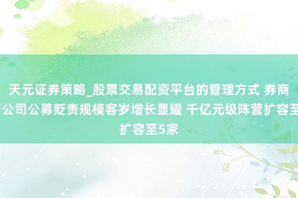天元证券策略_股票交易配资平台的管理方式 券商资管公司公募贬责规模客岁增长显耀 千亿元级阵营扩容至5家