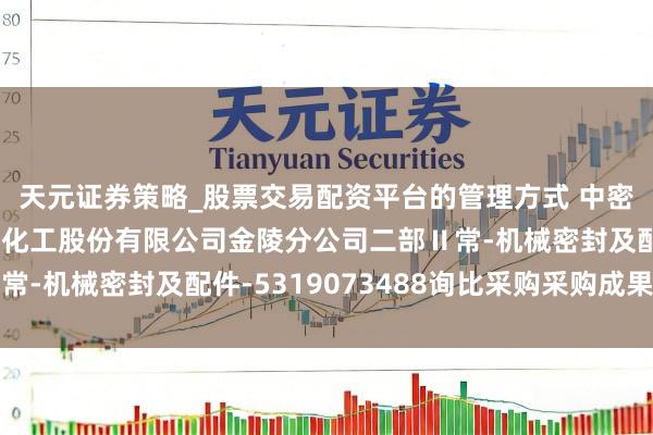 天元证券策略_股票交易配资平台的管理方式 中密控股中标：中国石油化工股份有限公司金陵分公司二部Ⅱ常-机械密封及配件-5319073488询比采购采购成果公告