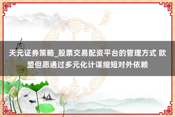 天元证券策略_股票交易配资平台的管理方式 欧盟但愿通过多元化计谋缩短对外依赖