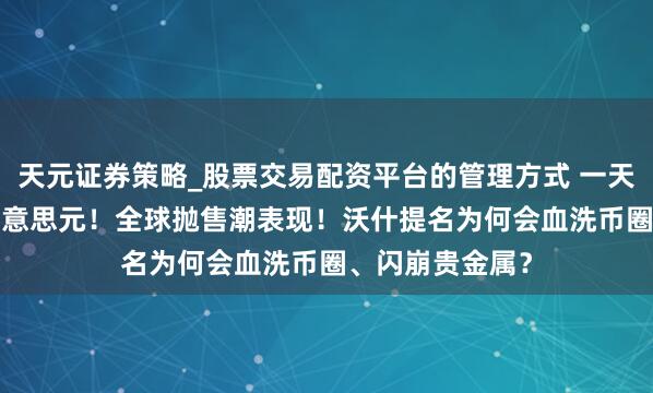 天元证券策略_股票交易配资平台的管理方式 一天挥发6.5万亿好意思元!全球抛售潮表现!沃什提名为何会血洗币圈、闪崩贵金属?